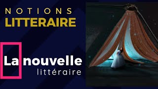 La nouvelle littéraire  définition et caractéristiques  NOTIONS LITTERAIRES [upl. by Pollie]