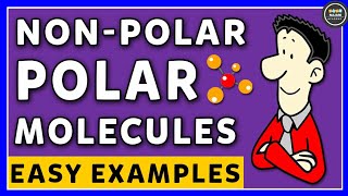 Polar And NonPolar Molecules  Chemistry [upl. by Ahsilat]