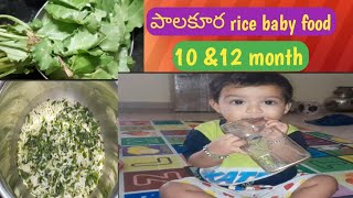 పాలకూర rice baby food 10 amp12 month babyfood daylivloge babyfoodie viralvideo [upl. by Abbotson]