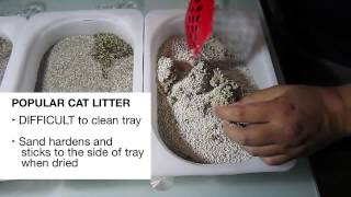 Compare the strength of clumping litter for cats  Canada Cat Litter [upl. by Ahseekat]