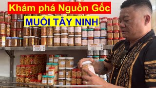 Khám Phá NGUỒN GỐC MUỐI TÂY NINH  Đến tận nơi sản xuất Muối [upl. by Ahsinam]