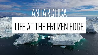 Antarctica Life at the Frozen Edge [upl. by Venus]