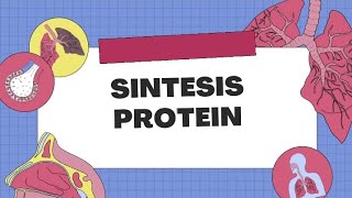 BIOLOGI  SINTESIS PROTEIN [upl. by Tennek]