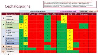 Bacteremia and Clinical Resistance Objective 2 [upl. by Ahsekin]