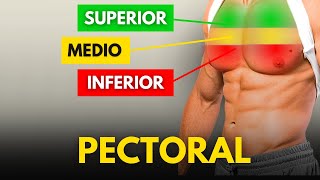 4 EJERCICIOS DE PECHO QUE DEBES HACER [upl. by Witt]