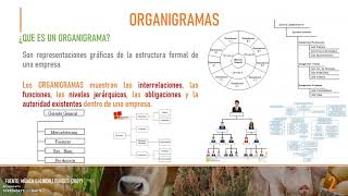 Organigramas [upl. by Micheline]