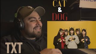 TXT  CAT amp DOG REACTION [upl. by Ynnoj]