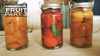 Preserving Fruit Part 3 [upl. by Darla]