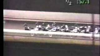 March of Dimes Trot 1988 Sugarcane Hanover [upl. by Averi]