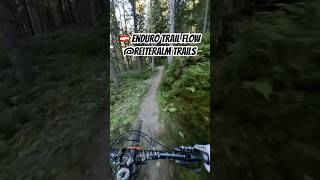 🇦🇹🏔️ Enduro Trail Flow reiteralm trails  mountainbiking mtb gopropov enduromtb [upl. by Ardnuaed674]