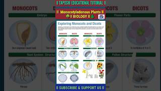 Monocotyledonous Plants ll Biology ll Science ll Class 4 To 10 ll shorts biology science [upl. by Attenwad]