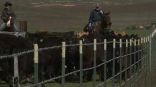 Powder River Cattlemans Tub and Alley [upl. by Dareece41]