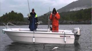 giant 47 LB cod on light fishing gear  Vevang Norway fishing [upl. by Lorilyn]