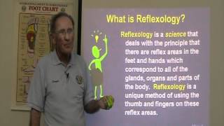 Reflexology  Episode 1  Benefits of Reflexology [upl. by Corbett]