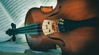 Violin Playlist 아름다움에 벅차오르는 곡들 [upl. by Methuselah787]