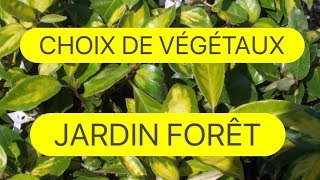 CHOIX DE VEGETAUX POUR JARDIN FORET COMESTIBLE ET MEDICINAL [upl. by Ashlen]