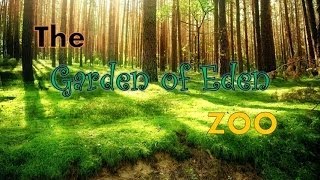 The Garden of Eden Zoo [upl. by Obrien469]