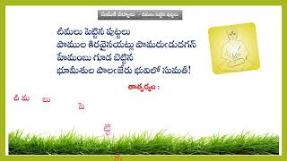 Teta Telugu  Sumati Poems  Telugu Poems  Chimalu pettina Puttalu [upl. by Nauh]