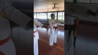 Basic Nunchaku Training [upl. by Enhpad]