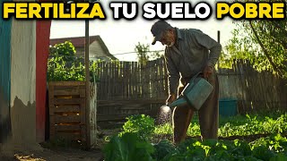 ¿Suelo pobre 5 Fertilizantes Esenciales para Cultivar vegetales en casa [upl. by Garber]