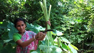 Kochu Shak Recipe Cooking by my Mother Best Process  Taro Leaf Recipe Indian Bangali Food [upl. by Adorl]