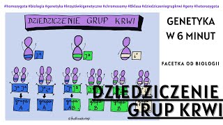 Dziedziczenie grup krwi  Genetyka  Jak robić Krzyżówki Genetyczne  Biologia 8 Klasa  Film edu [upl. by Buford]