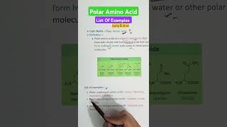 Polar Amino Acids  Examples aminoacids12 biochemistry gpat2025 pharmacyindia [upl. by Aelhsa]