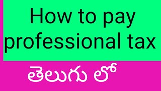 How to pay professional tax [upl. by Luing677]