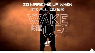 Avicii feat Aloe Blacc  Wake Me Up Lyrics [upl. by Thay]