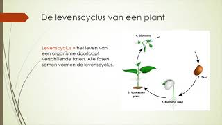 De levenscyclus van een plant [upl. by Cassi]