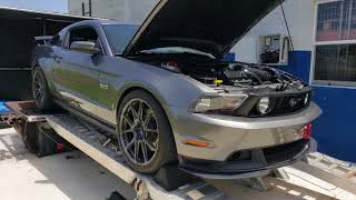 2012 Cobra jet intake Mustang GT on PUMP GAS gets dynoddd [upl. by Cathee]