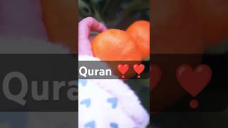 egzon ibrahimi short tilawategzon iquranrecitation​ quranrecitationreallybeautiful​ quran [upl. by Virnelli483]