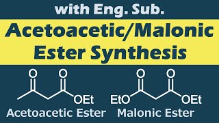 アセト酢酸エステル  マロン酸エステル合成Acetoacetic Ester  Malonic Ester Synthesisの反応機構【活性メチレンの反応】 [upl. by Fredenburg134]