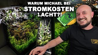 AQUARIUM ohne LAUFENDE KOSTEN  Das ist die WalstadMethode [upl. by Annawyt]