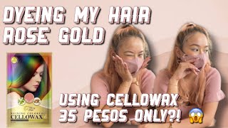 Affordable Cellowax Hair Dye Rose Gold [upl. by Portie731]