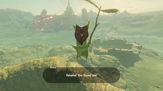 Korok seeds  Crenel Hills  Central Tower 3842  Zelda BOTW [upl. by Nairadas]