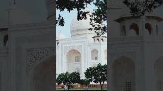 Taj Mahal where every angle is masterpieces india love tajmahal [upl. by Sew]