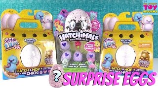 Surprise Chick Eggs Little Live Pets Hatchimals CollEGGtibles Toy Review  PSToyReviews [upl. by Atnuahc479]