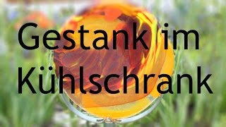 Gestank im Kühlschrank Haushaltstipps [upl. by Dahsra]