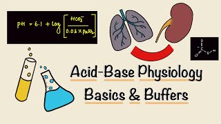 Acid Base Physiology  Part One  Basics  Buffers  Renal Physiology [upl. by Nethsa]