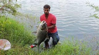 15 kg Big Size katla Fish Hunting  village fishing [upl. by Hike862]