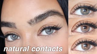 The BEST Affordable Natural Contact Lenses 5 NEW Shades From JUST4KIRA  For Dark Brown Eyes [upl. by Mctyre134]