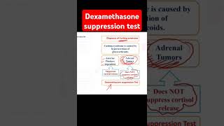 Dexamethasone suppression test [upl. by Amal]