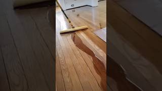 Wood Flooring application of oil based poly with a TBar [upl. by Prichard213]