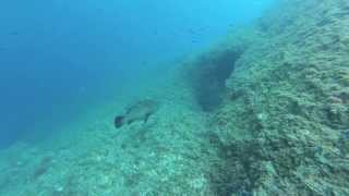 ISLAS MEDES PARAÍSO DEL SNORKEL [upl. by Quentin678]