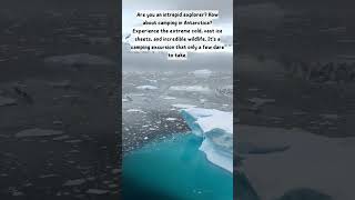 Camping in Antarctica The Ultimate Adventure  Unique Camping Facts [upl. by Donough959]