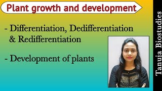 Differentiation Dedifferentiation and Dedifferentiation  Plant growth and development  NEETAIIMS [upl. by Asirral663]