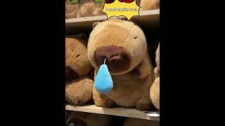 All these capybaras have got a cold today Link in Bio cuteplush toys [upl. by Enilreug]