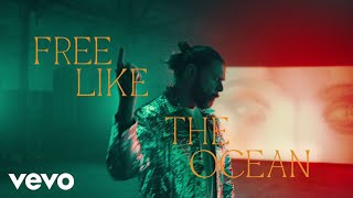 Rea Garvey  Free Like The Ocean Official Music Video [upl. by Auqenahc]