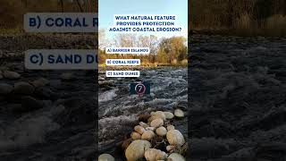 Coastal Erosion Management [upl. by Decamp459]